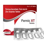 FERNIC-XT